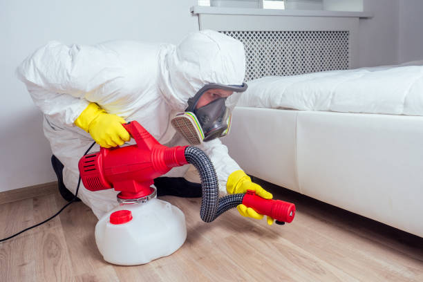 Best Insect Control  in Midlothian, IL