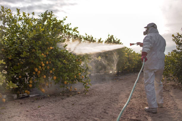 Best Best Pest Control Companies  in Midlothian, IL