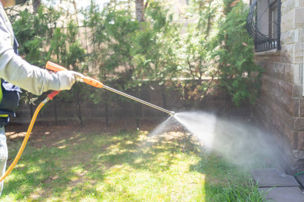 Best Flea Control Services  in Midlothian, IL