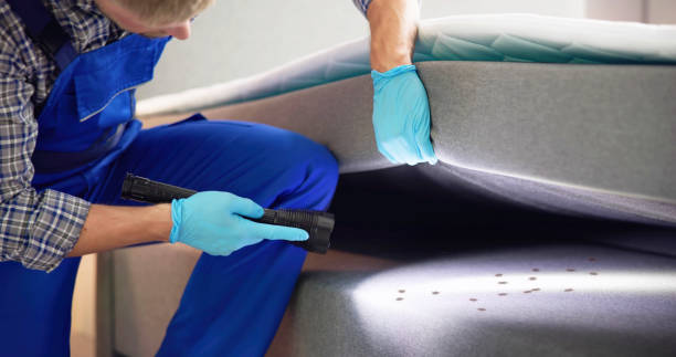 Best Rat Extermination Near Me  in Midlothian, IL