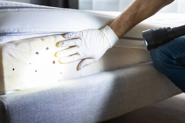 Best Bed Bug Extermination  in Midlothian, IL