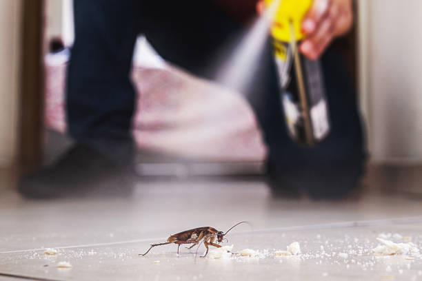 Pest Control for Restaurants in Midlothian, IL
