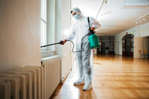 Best Termite Control Services  in Midlothian, IL
