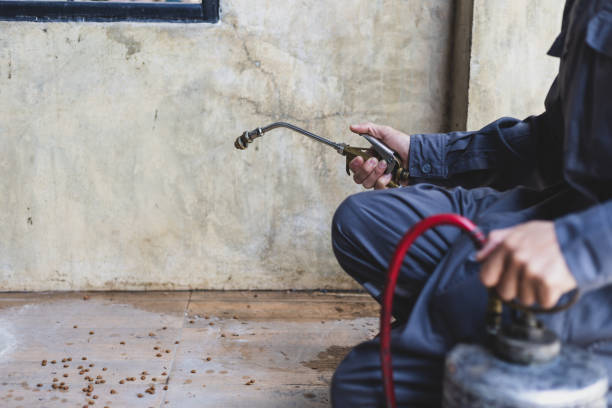 Best Best Pest Control Companies  in Midlothian, IL